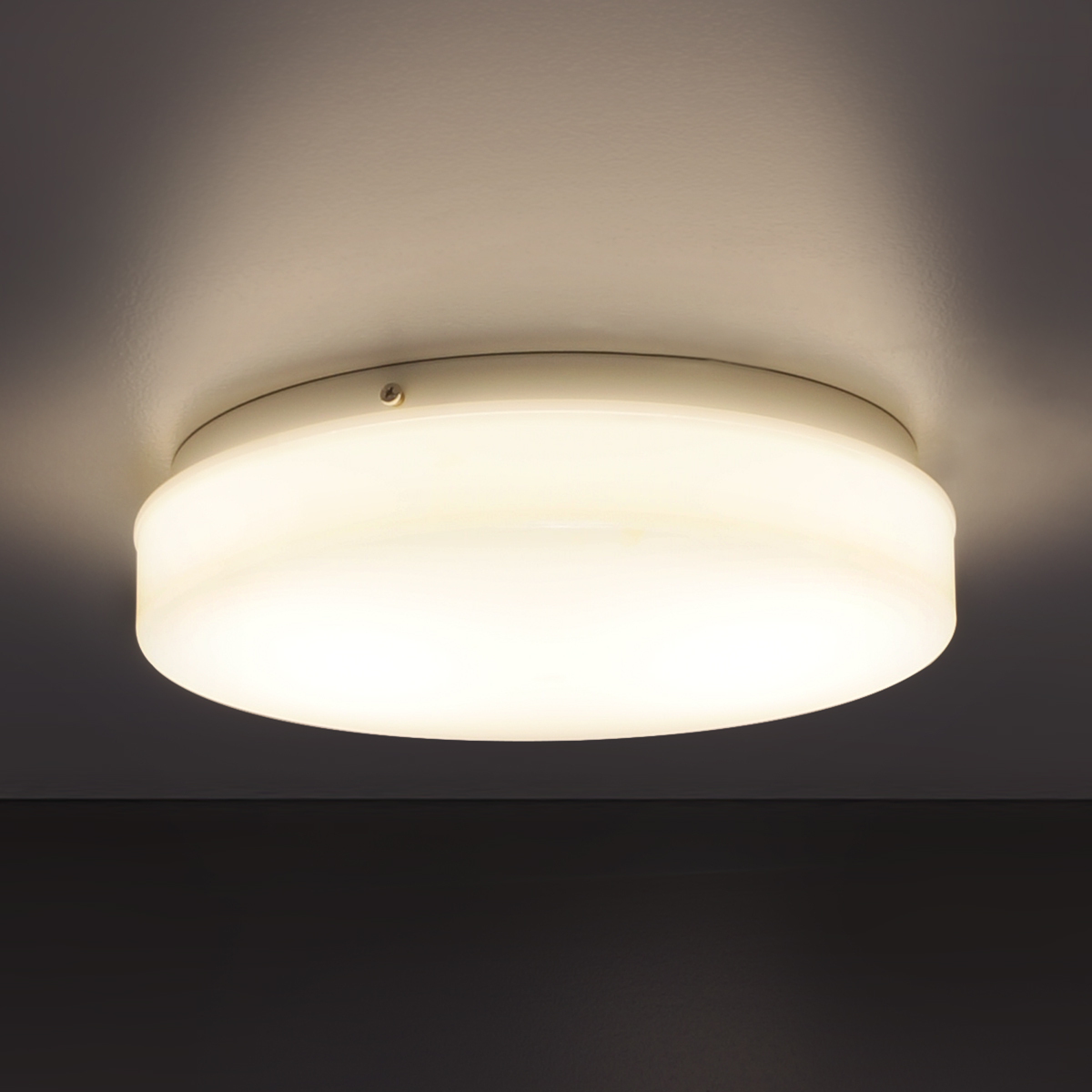 Brownlee Lighting 2050LED